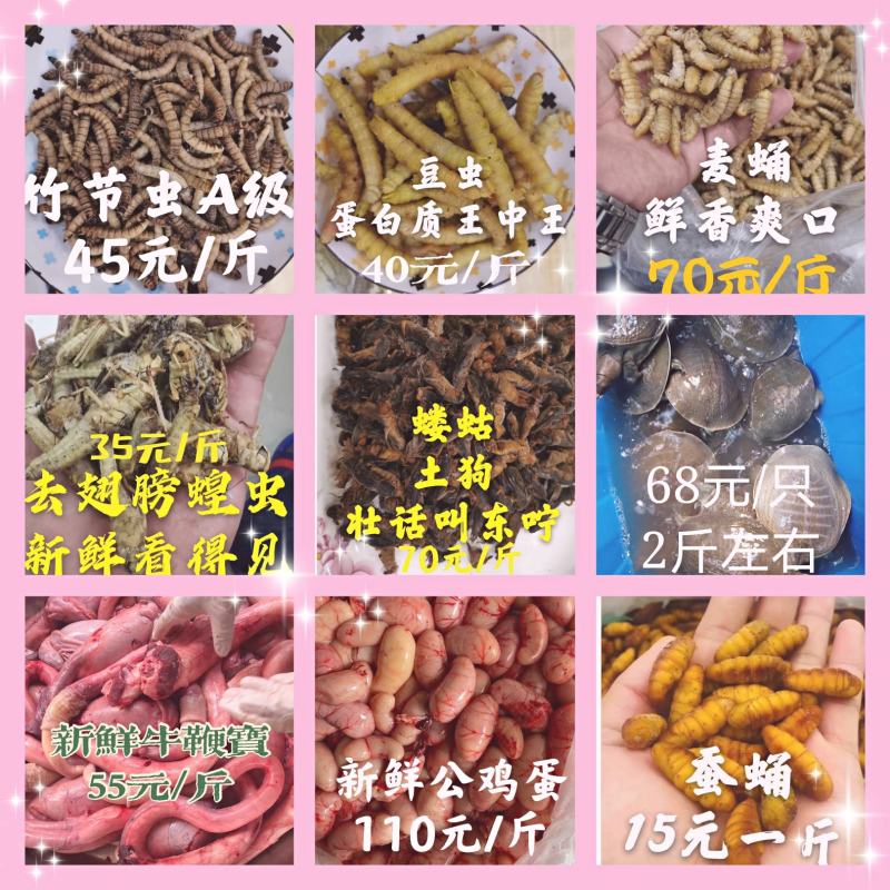 蚕蛹，大化新鲜货，味道oK，2021年新货