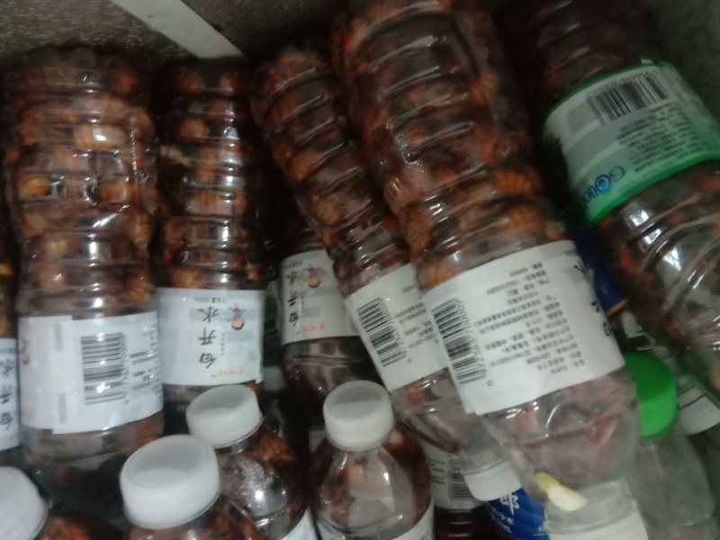 绿色生态高蛋白高营养滋补金蝉一一唐僧肉，瓶装有货！