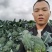 贵州西兰花供应，每天20吨
