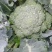 贵州西兰花供应，每天20吨