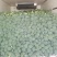 贵州西兰花供应，每天20吨