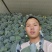 贵州西兰花供应，每天20吨