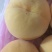 锦绣黄桃