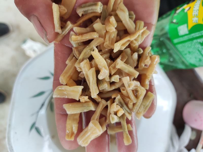 山东卜豆角，豆角加工，卜豆角精品精品颗粒！产地直发质量保证