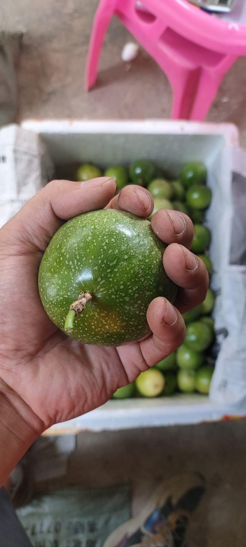 广西黄金百香果芭乐味蜂蜜味钦蜜9号维蜜百香果鸡蛋果