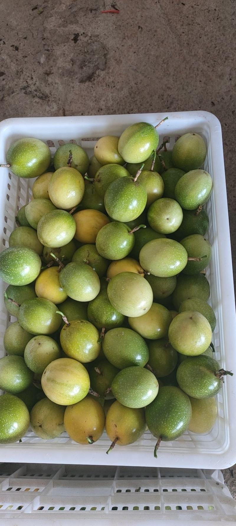 广西黄金百香果芭乐味蜂蜜味钦蜜9号维蜜百香果鸡蛋果