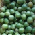 广西黄金百香果芭乐味蜂蜜味钦蜜9号维蜜百香果鸡蛋果