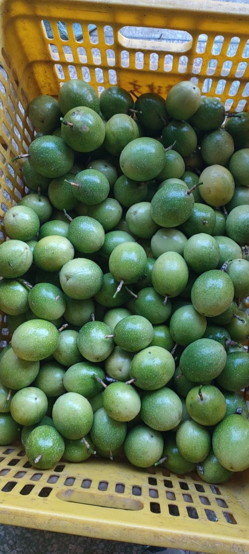 广西黄金百香果芭乐味蜂蜜味钦蜜9号维蜜百香果鸡蛋果