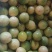 广西黄金百香果芭乐味蜂蜜味钦蜜9号维蜜百香果鸡蛋果