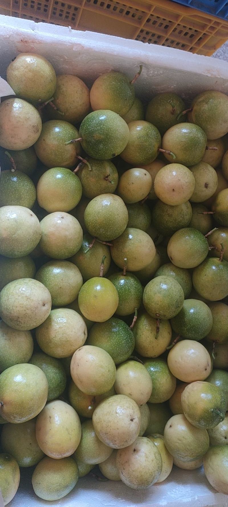 广西黄金百香果芭乐味蜂蜜味钦蜜9号维蜜百香果鸡蛋果