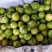 广西黄金百香果芭乐味蜂蜜味钦蜜9号维蜜百香果鸡蛋果