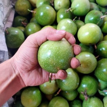 广西黄金百香果芭乐味蜂蜜味钦蜜9号维蜜百香果鸡蛋果