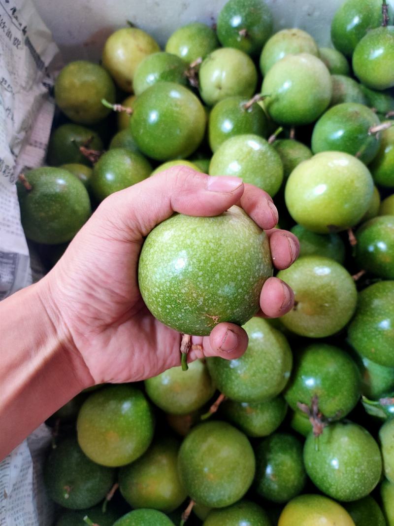 广西黄金百香果芭乐味蜂蜜味钦蜜9号维蜜百香果鸡蛋果