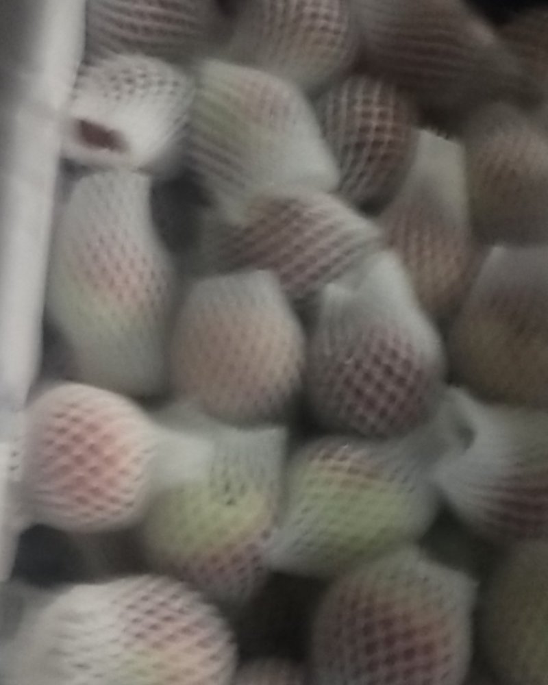 枣味油桃，枣蜜桃