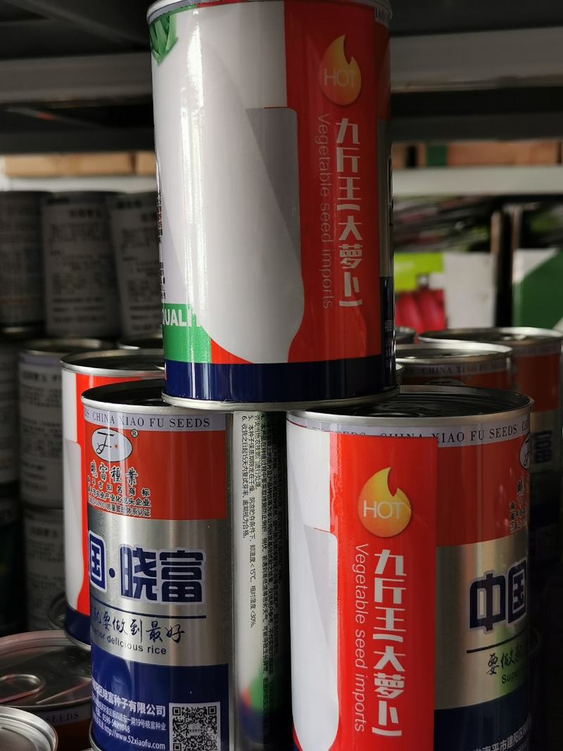 九斤王大白萝卜种子高产薄皮秋种白萝卜种子250克原装