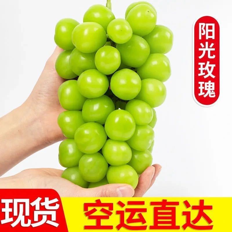 浪漫红颜，阳光玫瑰葡，妮娜皇后，陕西阳光玫瑰葡萄产地直发
