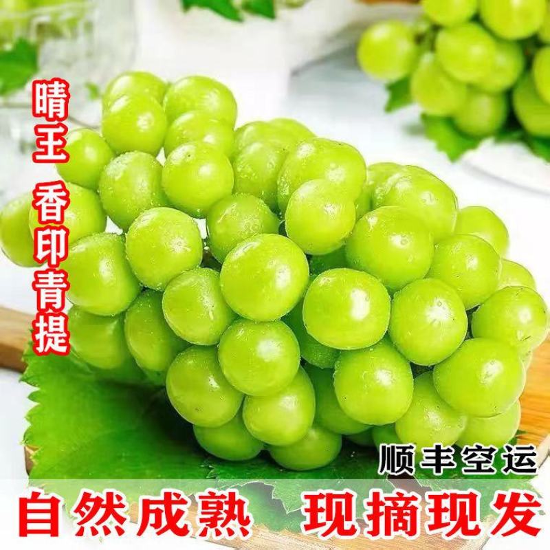 浪漫红颜，阳光玫瑰葡，妮娜皇后，陕西阳光玫瑰葡萄产地直发