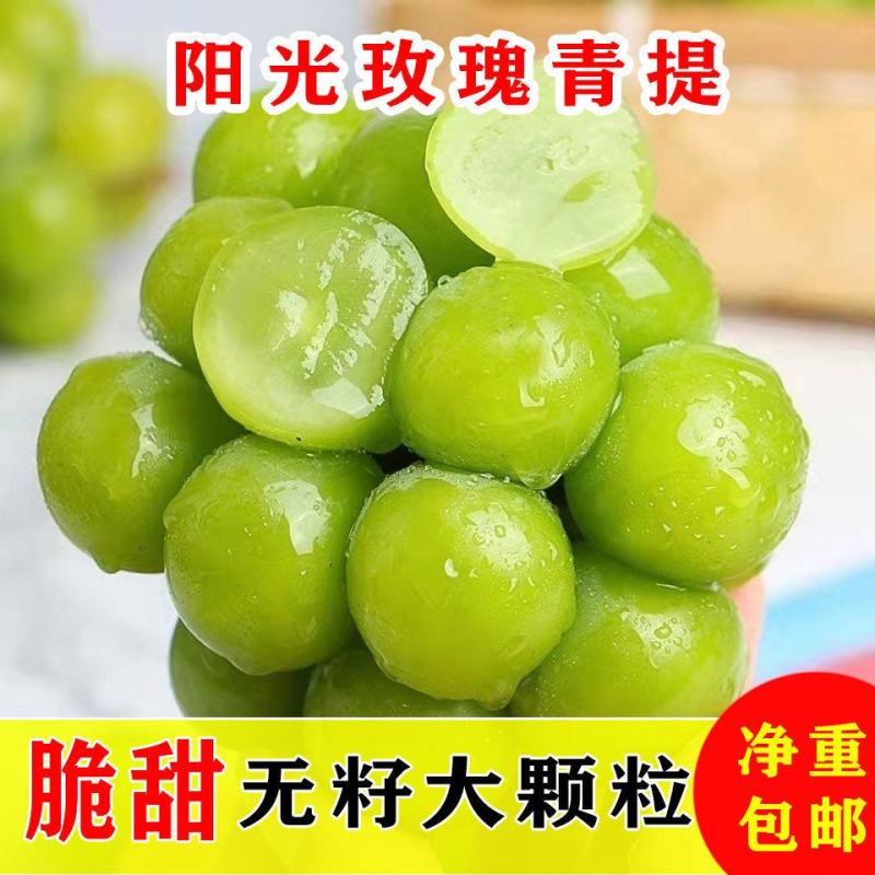 浪漫红颜，阳光玫瑰葡，妮娜皇后，陕西阳光玫瑰葡萄产地直发