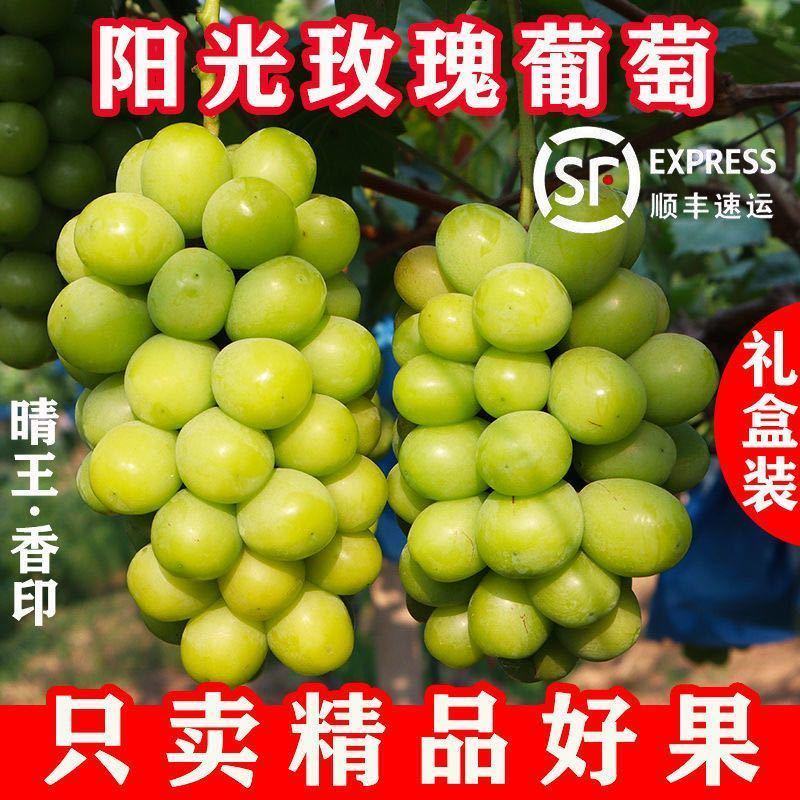 浪漫红颜，阳光玫瑰葡，妮娜皇后，陕西阳光玫瑰葡萄产地直发