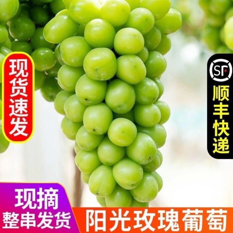 浪漫红颜，阳光玫瑰葡，妮娜皇后，陕西阳光玫瑰葡萄产地直发