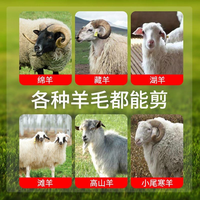 包邮）羊毛剪电动剪毛机电推子剪毛工具家用小软轴剪羊毛神器