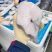 水鳕鱼片，10Kg一件、中西餐日料自助都可用、价格便宜。