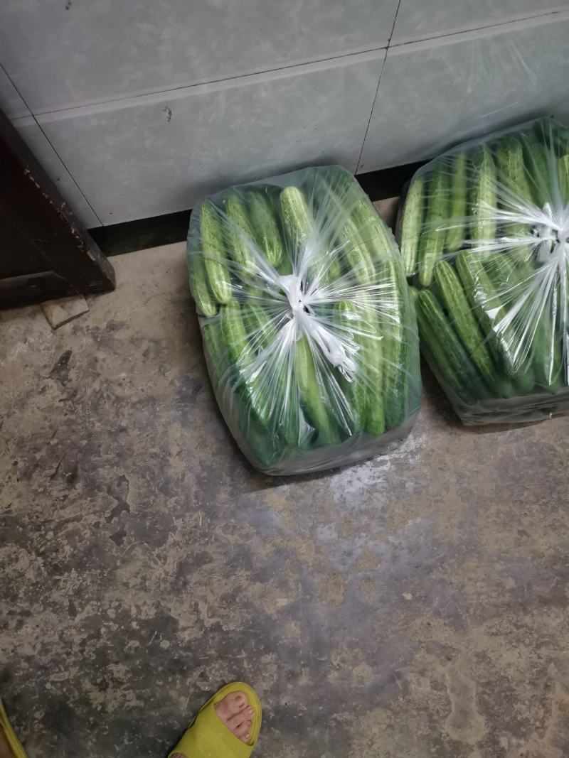 白黄瓜