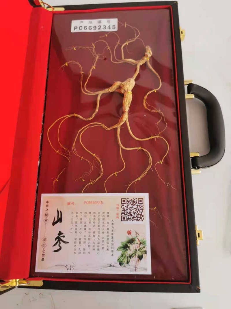 人参礼盒东北吉林长白山煲汤泡酒送礼