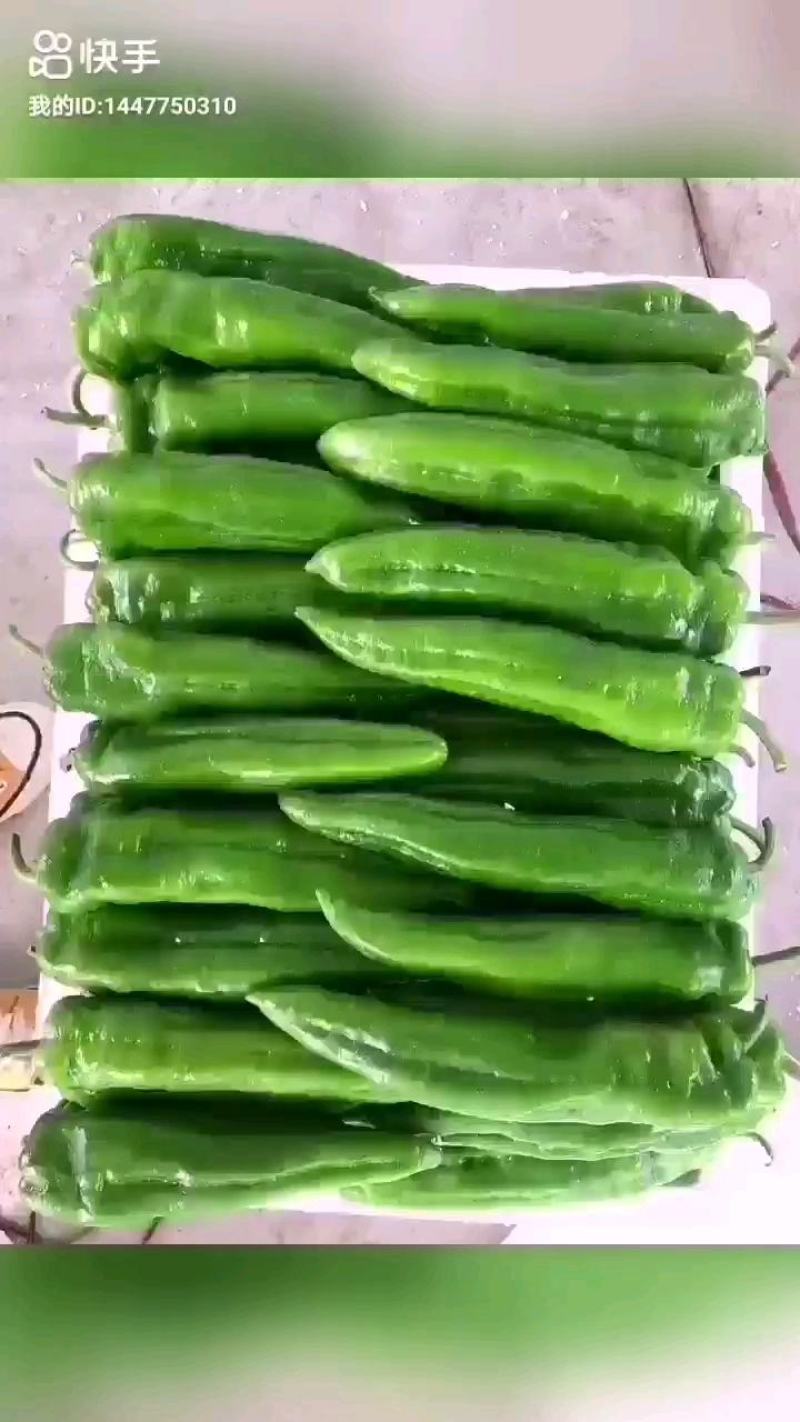 辣椒，鲜辣椒，线椒，螺丝椒，牛角椒，等各种辣椒大量供应中