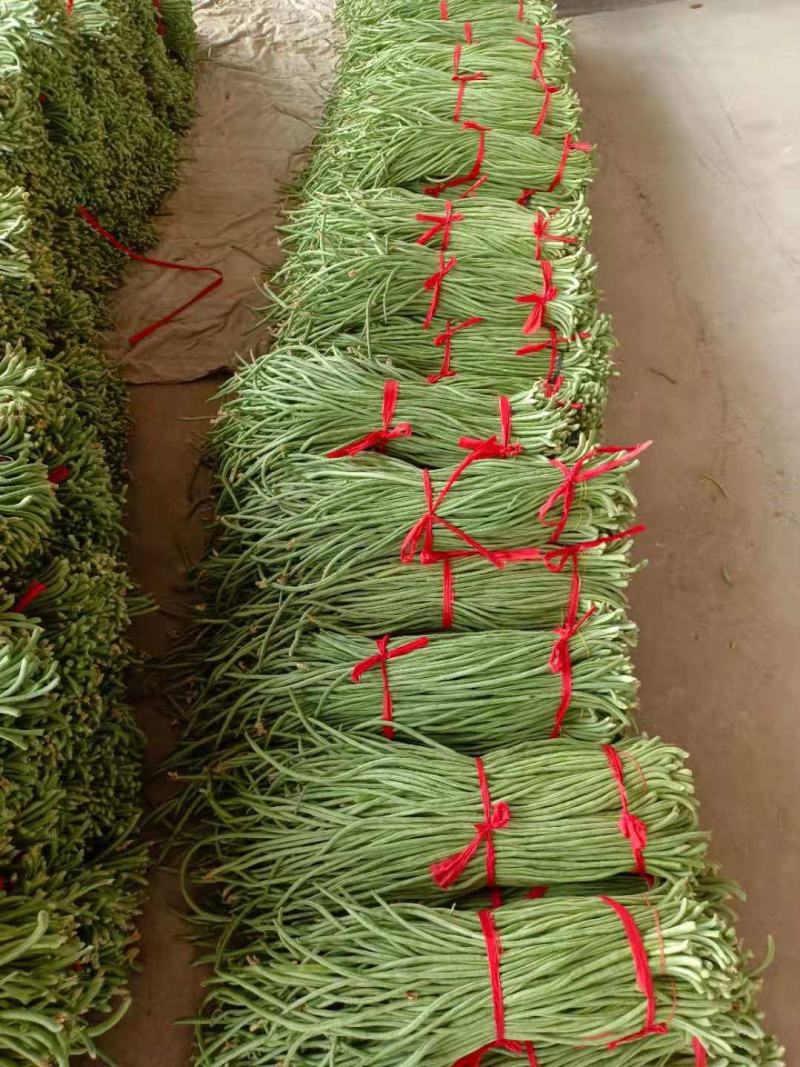山东单县豆角大量供应电商发市场加工厂协助找车
