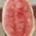 甘肃西瓜