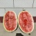甘肃西瓜