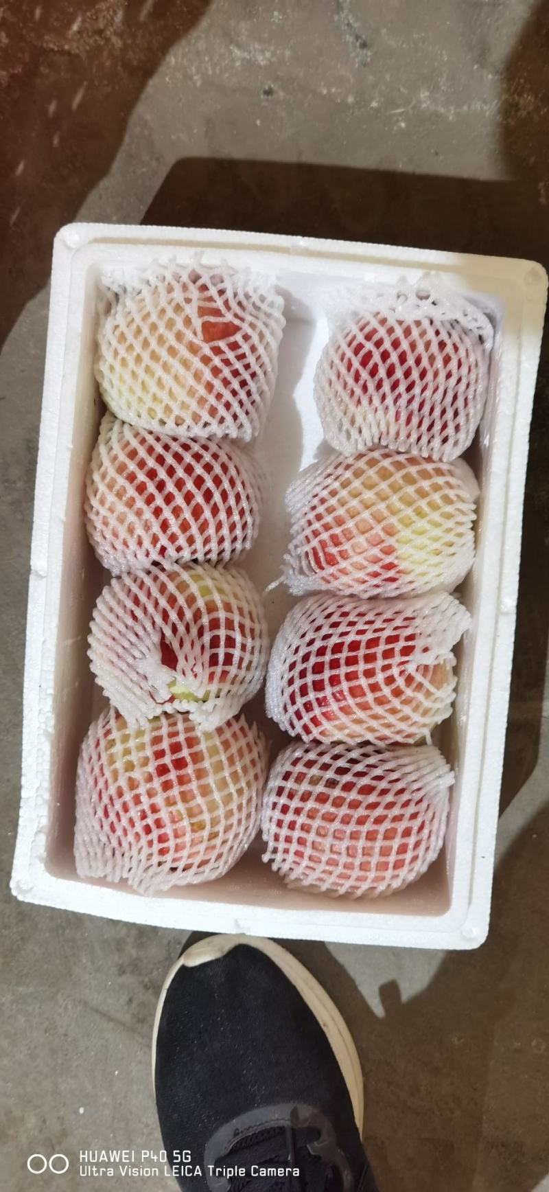 油桃中油二十油桃山西油桃个大硬度好，口感脆甜，耐运输耐储