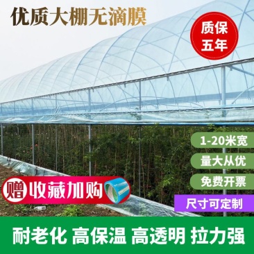 专业生产各种规格新型养殖大棚含覆盖包建全国发货