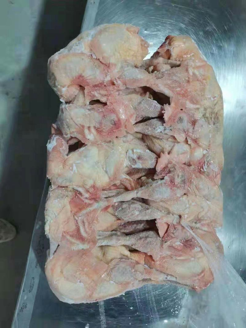 红毛老母鸡