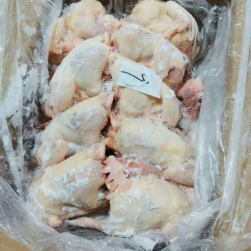 红毛老母鸡