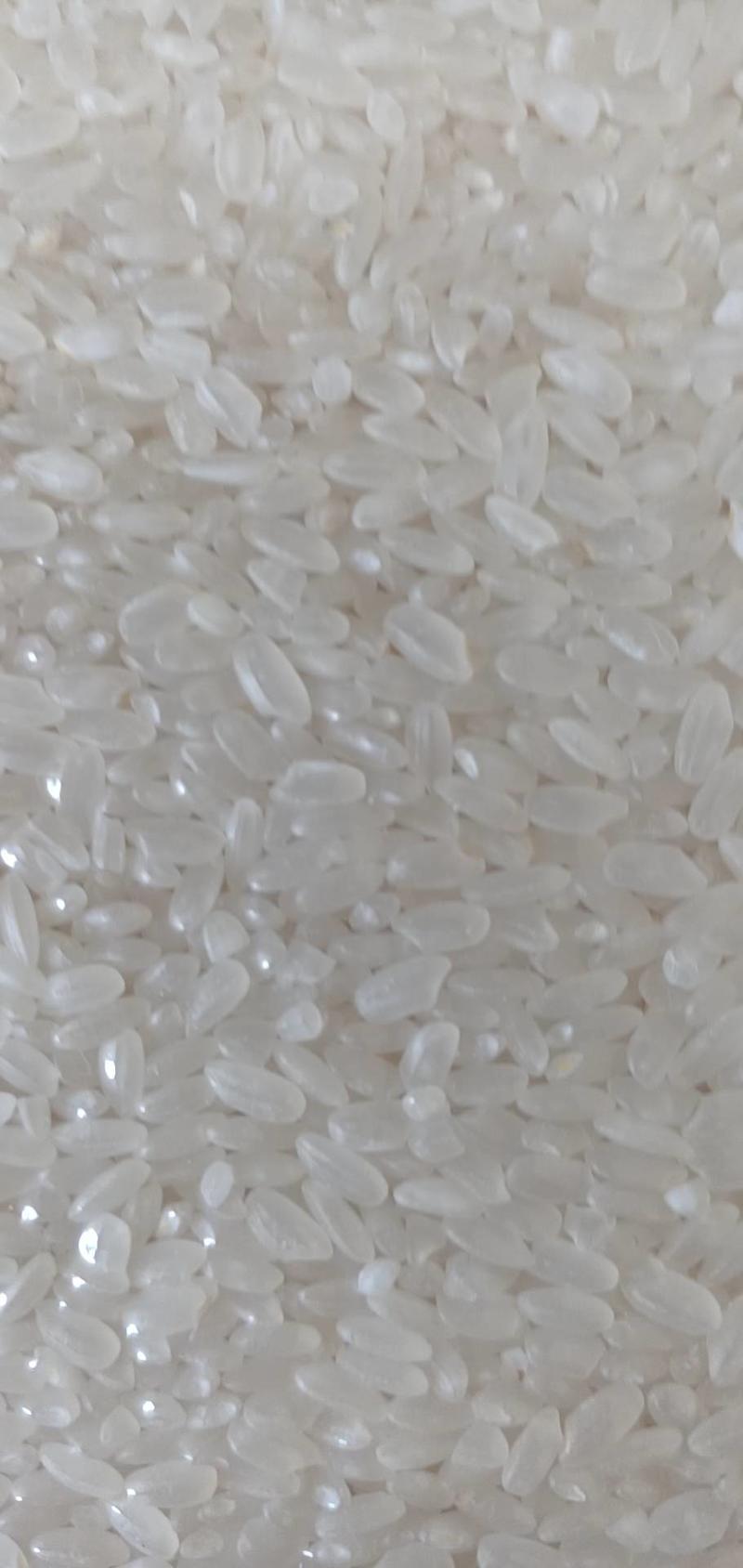 出米率高鲜米机专用稻谷去石去杂黑土自有基地种植。