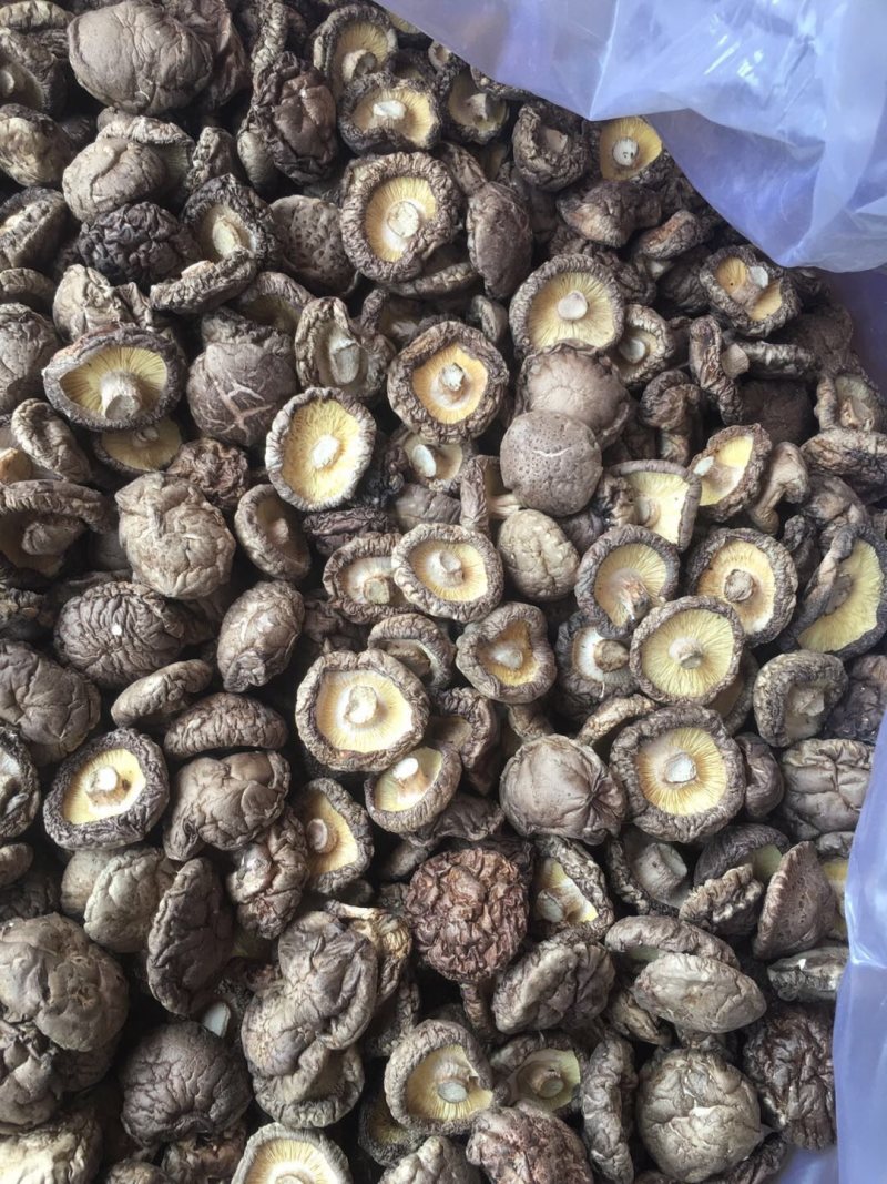 精选农家/西峡干香菇/出口品质/国家原产地地理标示区