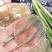 山东菏泽定陶铁棍山药小粉皮一斤一袋量大价格优惠
