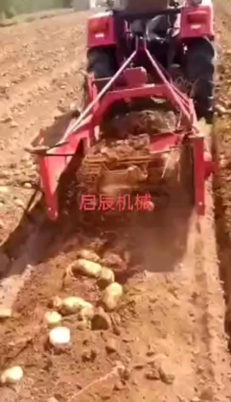 新款土豆收获机红薯收获机马铃薯收获机挖地瓜洋芋机