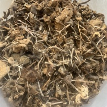 野生菌鸡纵干货