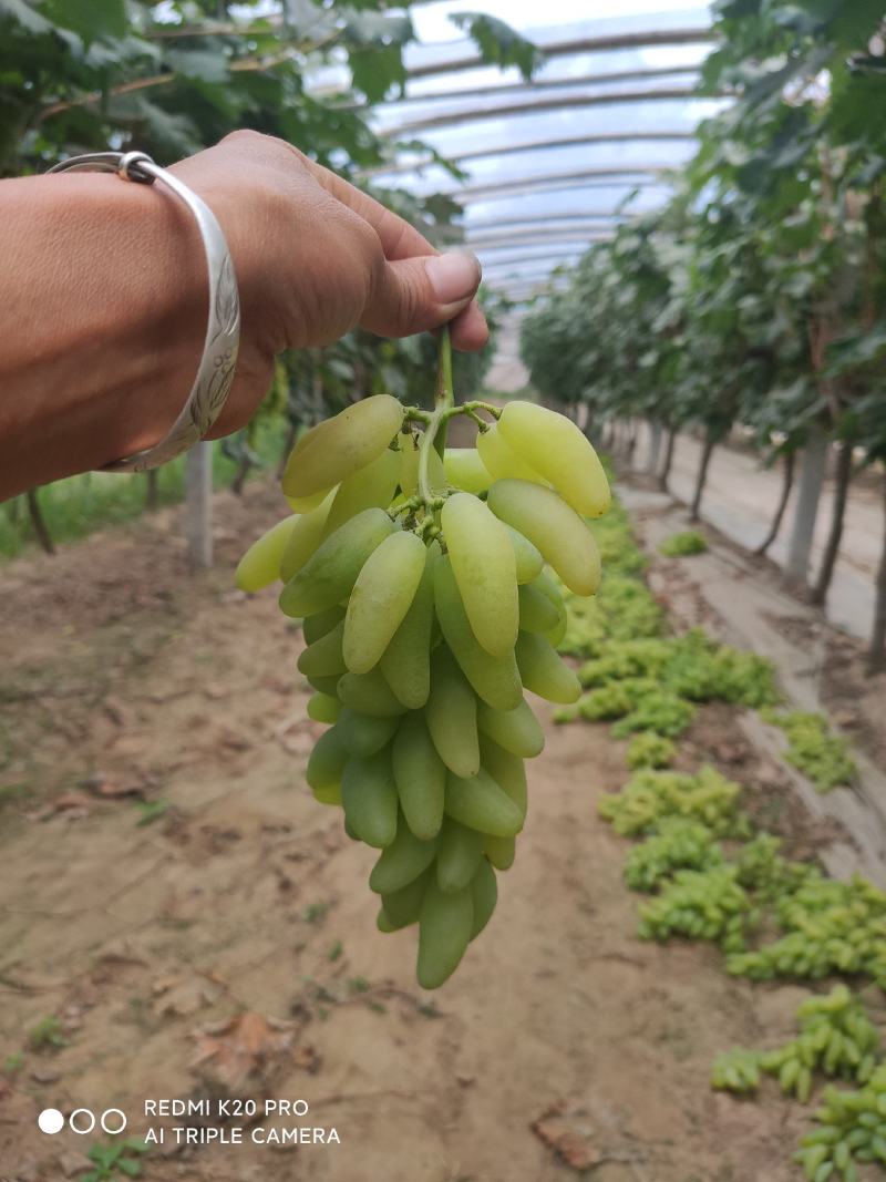 河南商丘宁陵县