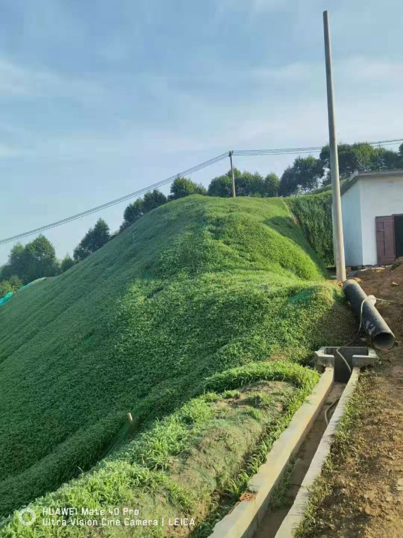 边坡绿化，矿山复绿，多台大型喷播机器设备