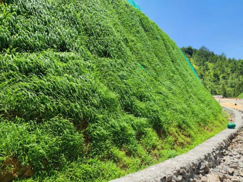 边坡绿化，矿山复绿，多台大型喷播机器设备