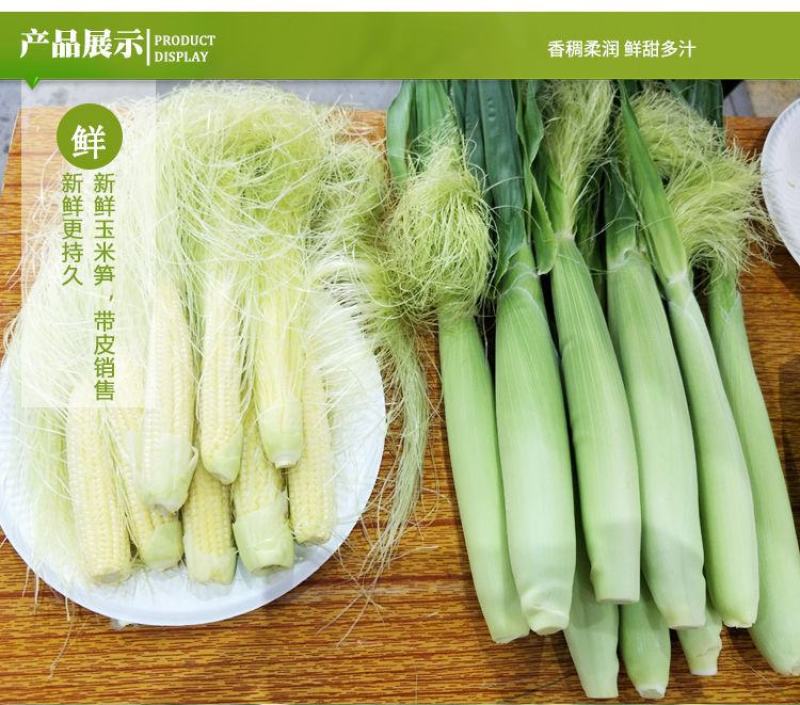 玉米笋迷你小玉米水果玉米无农药现摘新鲜蔬菜沙拉蔬菜包邮。