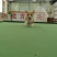 柯基犬柯基幼犬活体小短腿可爱家犬陪伴犬