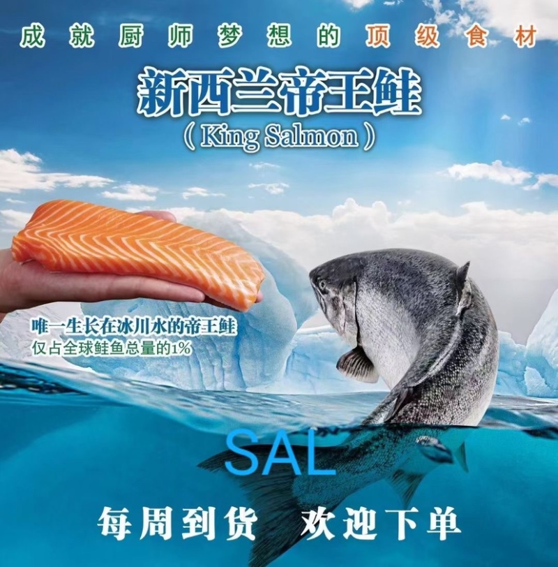 新西兰帝王鲑