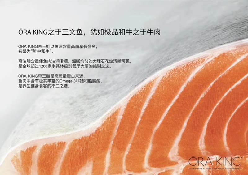 新西兰帝王鲑
