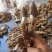 大凉山，野生鸡枞菌，应季产品，产地直销，物美价廉