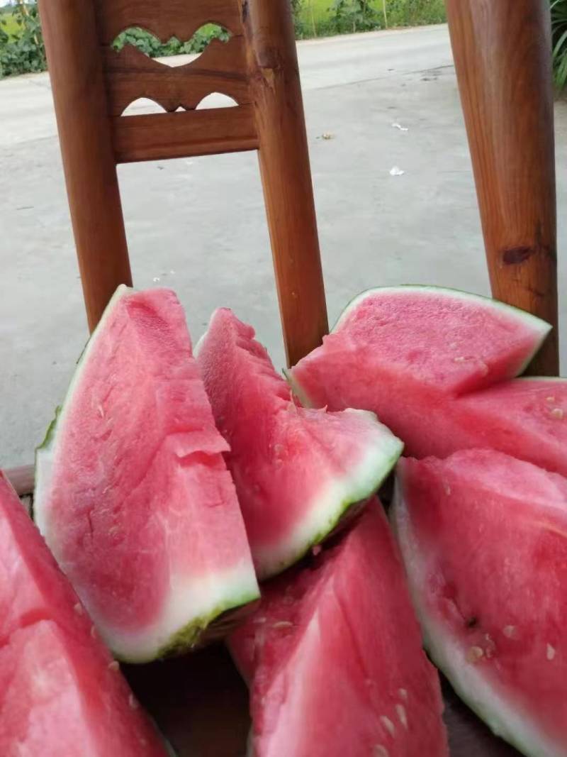 湖北美都，麒麟瓜8424无籽西瓜地头直发供货对接超市美团